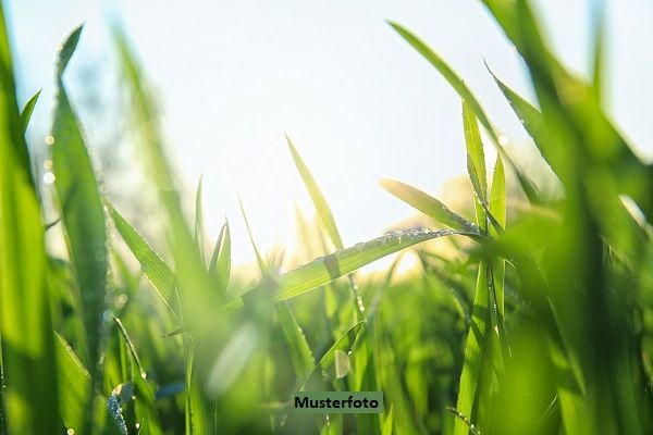 2 Landwirtschaftsflächen - provisionsfrei